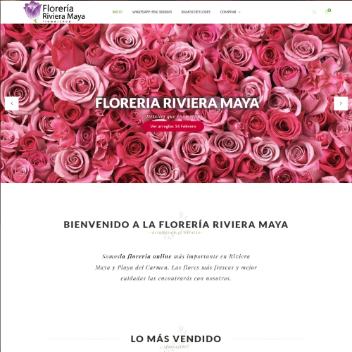 Diseño sin título (15)